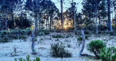 FRÍO POLAR EN MISIONES: se esperan -3°C y heladas severas